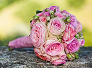 粉玫瑰花花束图片背景唯美浪漫