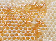 红金黄蜜蜂蜂巢底纹ppt背景图