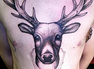 男子胸部逼真的鹿头半甲纹身