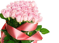 一束粉玫瑰花卉高清图片素材