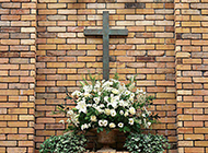 神圣十字架下的植物花卉图片