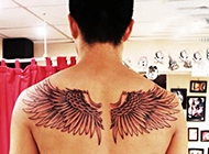 男子背部个性翅膀纹身图片
