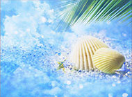 沙滩贝壳浪漫素雅风格背景图片素材