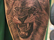 手臂狮子纹身图案霸气侧漏