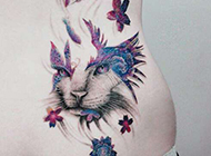 可爱猫狗艺术纹身图片