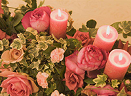 美丽花卉与蜡烛高清图片素材