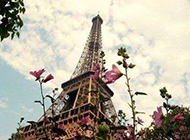 我的爱遗失在巴黎铁塔中