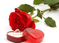 戒指与玫瑰浪漫唯美背景素材