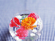 鱼缸中的花瓣高清图片