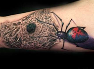 奇葩的手臂写实蜘蛛3d纹身图案