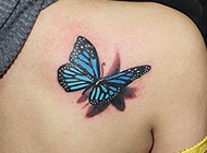 女性肩部蝴蝶3d纹身刺青图案图片