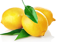 生津健胃的柠檬水果图片