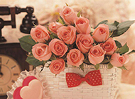 可爱花篮里的玫瑰唯美图片
