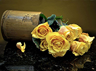 黄玫瑰花束图片娇柔美丽