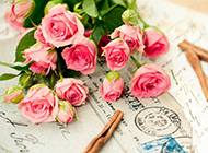 粉色玫瑰花束浪漫图片素