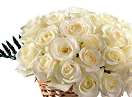 一篮子白玫瑰鲜花摄影图片