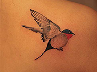 美女后背小鸟刺青纹身图片清新美丽