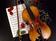 玫瑰花和小提琴唯美图片