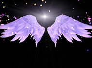 手型紫色翅膀的ppt背景图