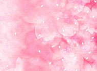 微博粉色樱花背景图片大全