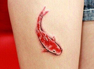女生纤细小腿鲤鱼纹身图案