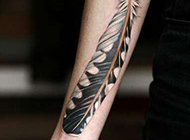 个性手臂羽毛纹身简单图案欣赏