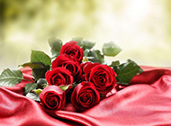 热情红玫瑰婚礼浪漫高清