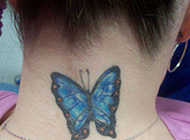 美女颈部蓝色蝴蝶纹身图片