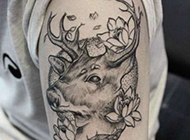 手臂动物纹身刺青图案图片