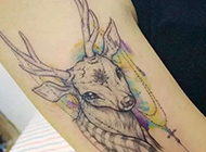非主流手臂鹿图腾纹身图案分享