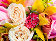 鲜花图片大全彩色花束浪漫素材分享