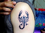 男生简单手臂刺青纹身蝎子图案