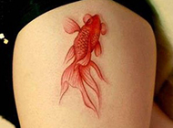 唯美金鱼个性精湛刺青纹身