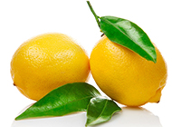 两个黄柠檬水果图片