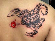 男性后背逼真个性的蝎子纹身图案