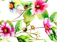 植物图片水彩素描鲜花背景