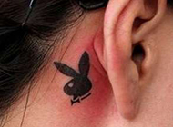 女生纹身图片 躲在耳后的兔子纹身