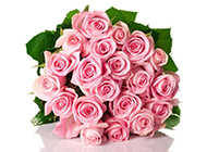 玫瑰花图片唯美粉色背景