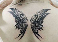 个性满背翅膀纹身图案