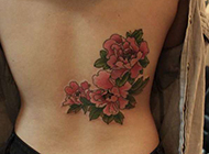精美花语腰部艺术纹身图案欣赏