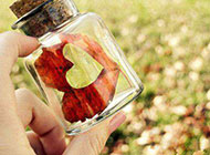 玻璃瓶里的春天梦幻唯美背景精选