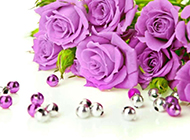 忧郁高贵的紫玫瑰图片