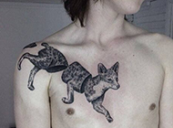 帅哥身上的个性狐狸纹身图片