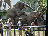 动物内涵图之大象也疯狂