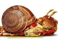 儿童创意蜗牛美食图片