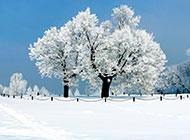 最新冬日唯美浪漫雪景壁纸