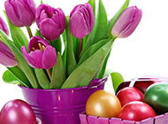复活节的彩蛋与郁金香图片