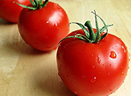 鲜嫩可口的西红柿植物图片