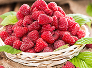 清热解毒的水果红树莓图片欣赏