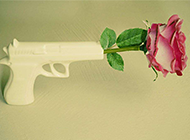 和平的艺术枪与玫瑰图片欣赏